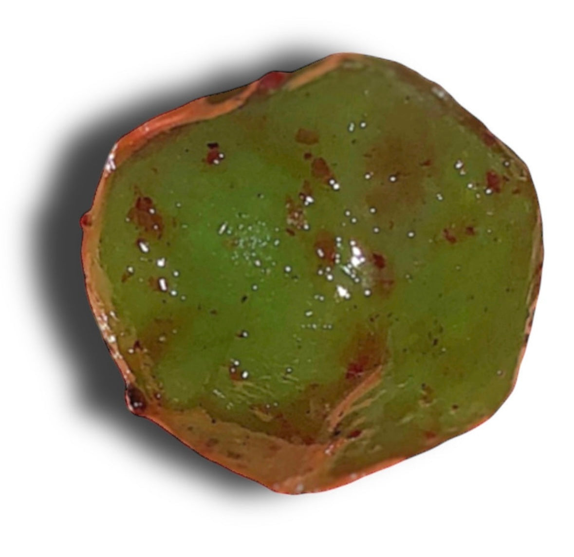 Wet Gushers