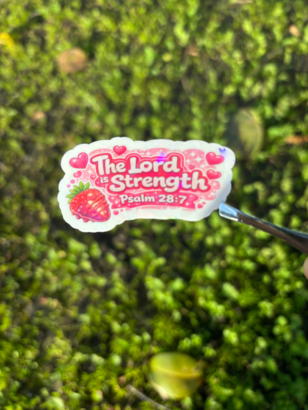 The Lord Is Strength